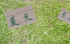 申花領(lǐng)先6分，國安續(xù)約烏，夏窗靜待。