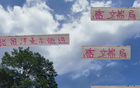 張玉寧高天意，國安申花精英；留洋進國家隊，實力非凡。