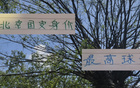 古加身價高，北京國安之驕，能否成海港奧斯卡？