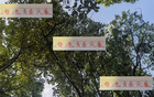 海港青春風(fēng)暴，李新翔領(lǐng)銜，大連賽進(jìn)球助攻亮眼！