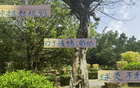 中超新規(guī)不利申花特謝拉，需調(diào)整隊(duì)長或增吳曦盯人。