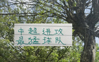 北京國安攻擊力強，海港申花進球數平。