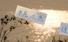 申花三杰連發(fā)，俄帥壓力倍增！