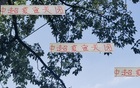 夏窗收官，四隊顯高級風(fēng)范。