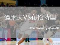 譚禾夫VS布倫特里