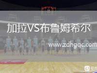 加拉VS布魯姆希爾