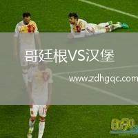 哥廷根VS漢堡