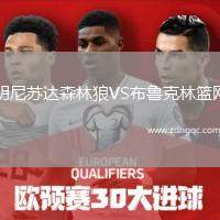 明尼蘇達森林狼VS布魯克林籃網