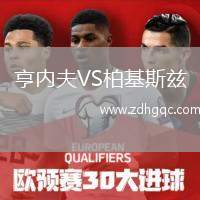 亨內(nèi)夫VS柏基斯茲