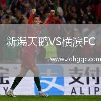 新潟天鵝VS橫濱FC