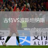 古特VS波斯坦納斯