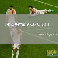 帕爾梅拉斯VS波特諾山丘
