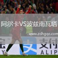 阿爾卡VS波茲南瓦塔
