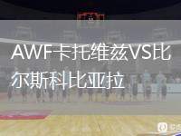 AWF卡托維茲VS比爾斯科比亞拉