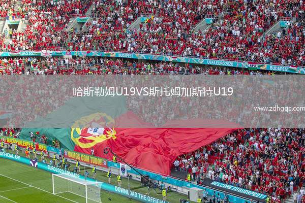 哈斯勒姆U19VS斯托姆加斯特U19
