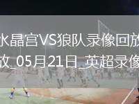 英超第37輪水晶宮4-2狼隊