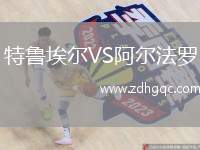 特魯埃爾VS阿爾法羅