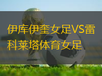 波特曼利VSPE圣約爾迪