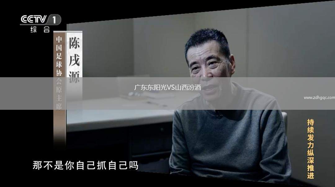 廣東東陽光VS山西汾酒