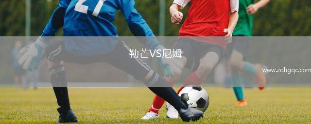 勒芒VS尼姆