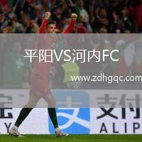 平陽VS河內(nèi)FC