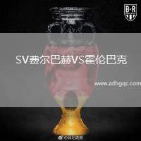 SV費爾巴赫VS霍倫巴克
