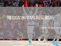 博爾古水牛VS阿貝勒斯