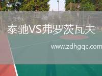 泰馳VS弗羅茨瓦夫