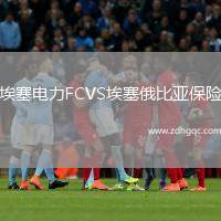 埃塞電力FCVS埃塞俄比亞保險(xiǎn)