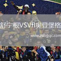 舒寧根VSVfl奧登堡格