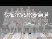 戈梅爾VS格羅德諾