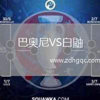 巴奧尼VS白鼬