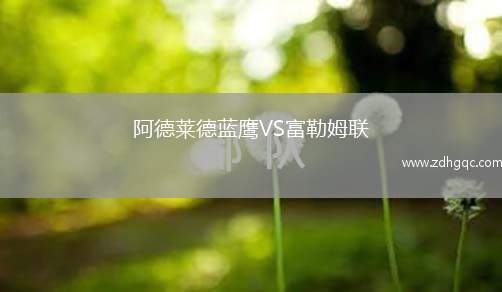 阿德萊德藍(lán)鷹VS富勒姆聯(lián)