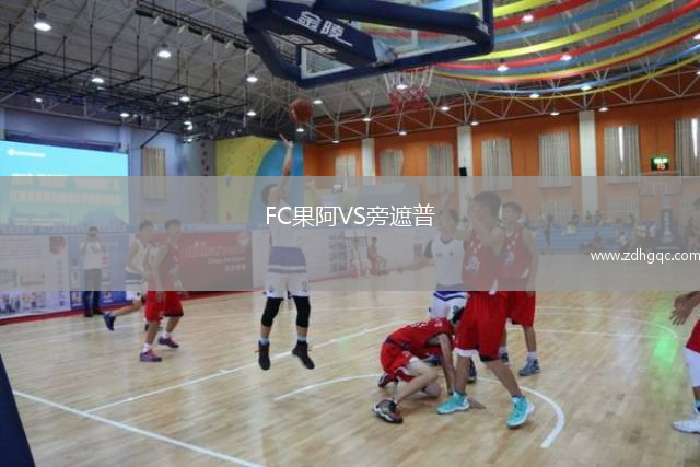 FC果阿VS旁遮普