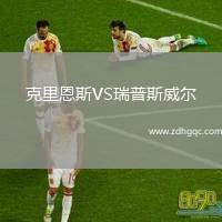 克里恩斯VS瑞普斯威爾