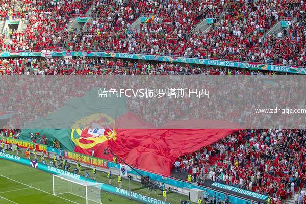藍(lán)色FCVS佩羅塔斯巴西