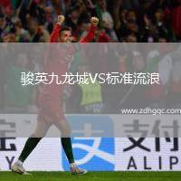 駿英九龍城VS標(biāo)準(zhǔn)流浪