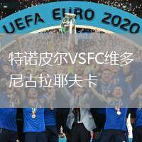 特諾皮爾VSFC維多尼古拉耶夫卡