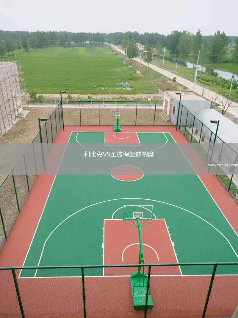 利比克VS圣彼得堡迪納摩