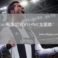 希本尼克VSHNK戈里察