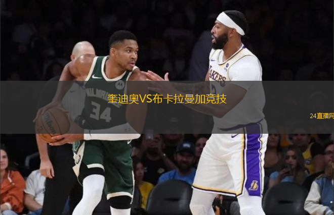 葉爾加瓦VS格洛比納