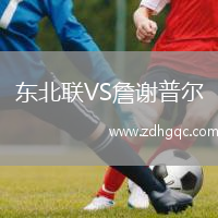 東北聯(lián)VS詹謝普爾