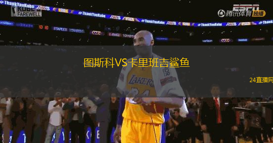 史蒂夫比科VS皇家班珠爾