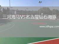 三河海馬VS名古屋鉆石海豚