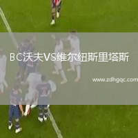 BC沃夫VS維爾紐斯里塔斯