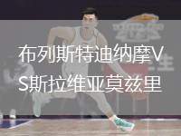 布列斯特迪納摩VS斯拉維亞莫茲里