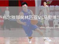 盧布爾雅那奧林匹亞VS馬里博爾