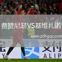 費(fèi)贊尼瑟VS基維扎諾