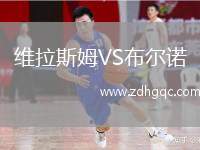 維拉斯姆VS布爾諾
