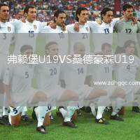弗賴堡U19VS桑德豪森U19